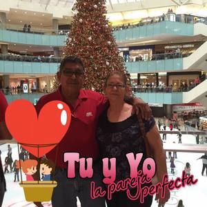 Meet your Posher, Olga